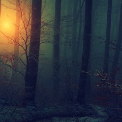 In The Woods (Original Mix) [FREE TECHNO DOWNLOAD]