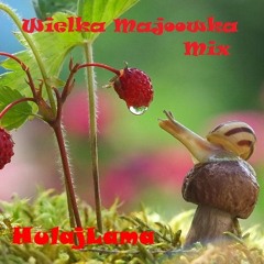 HulajLama_Wielka Majoowka Mix