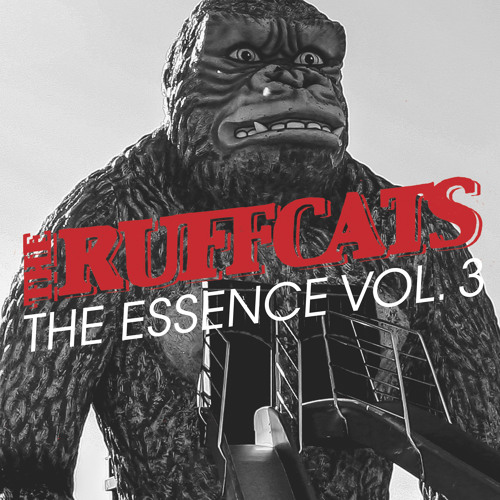 The Ruffcats - The Essence Vol.3 (Snippet)