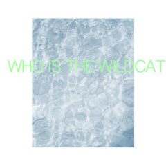 Tigerhead - Who is the Wildcat (Felix! Remix)