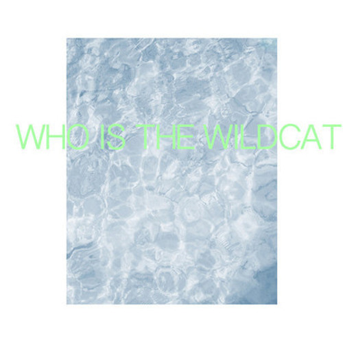 Tigerhead - Who is the Wildcat (Felix! Remix)