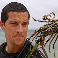 The Ballad Of Bear Grylls