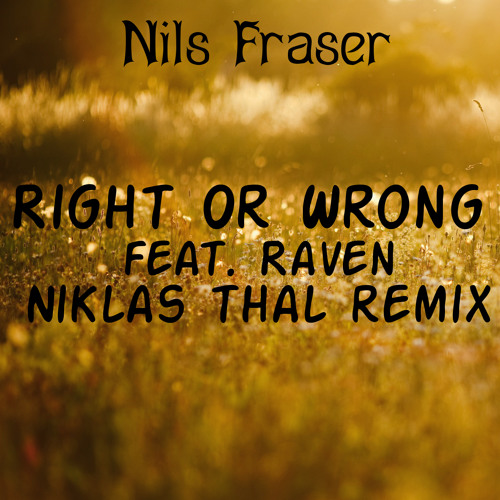 Nils Fraser - Right Or Wrong feat. Raven (Niklas Thal Remix)