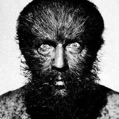 Dario Zenker – Mörsin