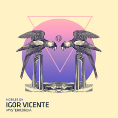 Mystericordia (Ryan-Crosson remix)
