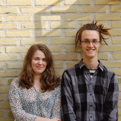 Polska efter Troskari Erik