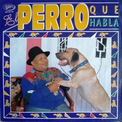 El perro que habla - Dr Candido