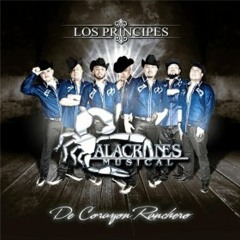 Alacranes Musical - Te Ando Siguiendo los Pasos (De Corazon Ranchero 2014)