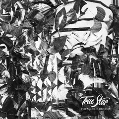 05 - True Star - Кома