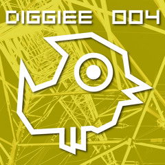 MAXIMONO - Amplify - DIGGIEE 004 (Teaser)