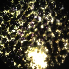 Black Music (framing blackness final project)