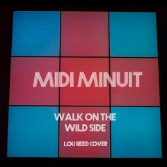 Walk On The Wild Side - Lou Reed Cover (Short Edit)