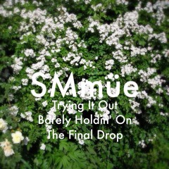 The Final Drop (Bro Safari - The Drop | MUST DIE! Remix)