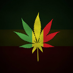 Zona Ganjah - Marihuana