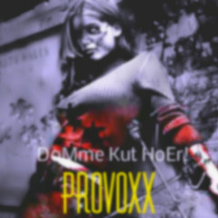 ProVoxx  - Domme Kut Hoer!