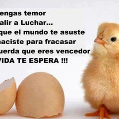 Dj's Millenium 2002 Saludo Cumpleaños Dj Pato