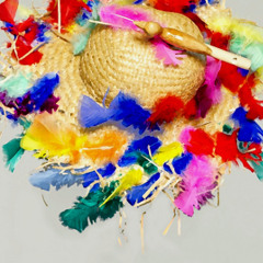 Die Zauberflöte - Ein Mädchen oder Weibchen wünscht Papageno sich