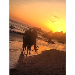 McBeth - Passenger/Lorde - (cover)