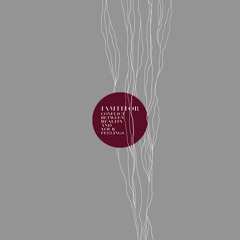 Machine n.3384 • SONNY CARSON RMX