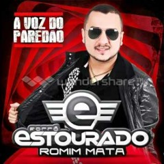 FORRO ESTOURADO REP NOVO - ABRIL 2014 EU VOU MORRER