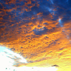 Excuse me while I kiss the sky