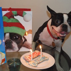 But My Schoolwork IS More Important