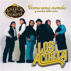 Los Acosta Como Una Novela