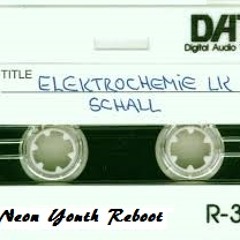 Elektrochemi LK - Schall (Neon Youth Reboot)