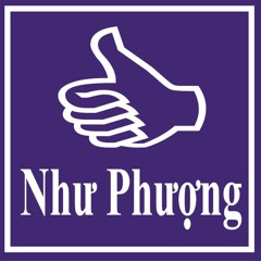 Tim Trong Chieu Hoi Lim