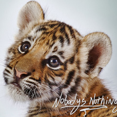 Aeo X Rad X Carbine- Sleepy Hollow( Full song+ DL)