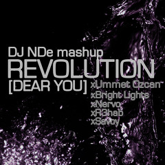Revolution [Dear You] (DJ NDe Mashup)[FREE DL]