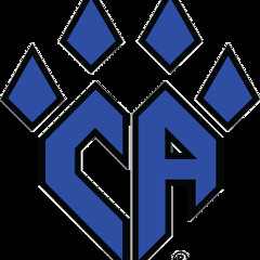 Cheer Athletics Wildcats Worlds 2014