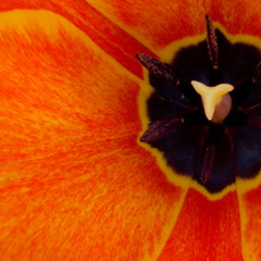 What Is There To Say