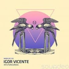 Igor Vicente - Mystericordia (Ryan Crosson Remix)