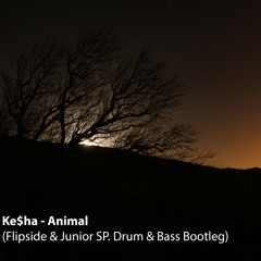 Ke$ha - Animal (Flipside & Junior SP. D'N'B Bootleg)- FREE DOWNLOAD