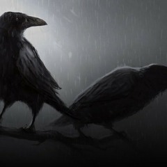 Amistades Falsas Cayo Ft Sarape De Barrio