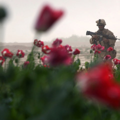 They Shall Not Grow Old