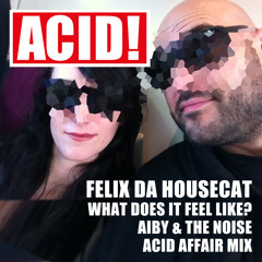 Felix Da Housecat - What Does It Feel Like? - Aiby & The Noise Acid Affair Mix