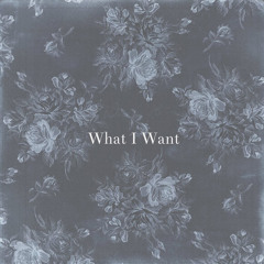 What I Want