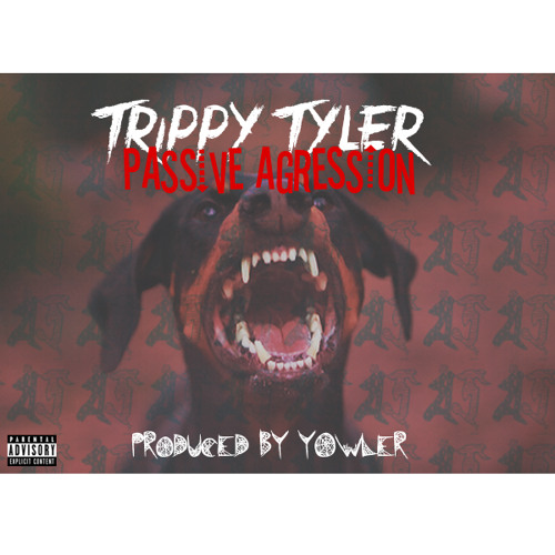 Passive Aggression (Prod. y0wler)