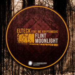 Elteck ft Kryptomedic - Flint