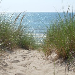 Beach Whispers (bass baritone and piano)