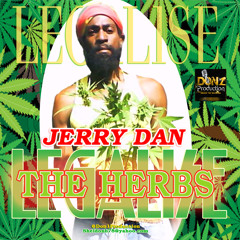 Jerry Dan - LegaliZe The Herbs - Rags To Rishes Riddim - Don(1)Prod 2014