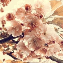 ليليا بن شيخة انت الملك قلبي