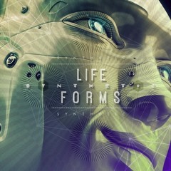 Automata Theory - Hostile Landscapes -(V.A -_- Synthetic Lifeforms -_-Damaru Records )