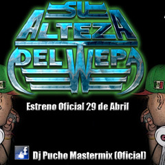 BAILE LA BANDA 2014 - DJ PUCHO MASTERMIX