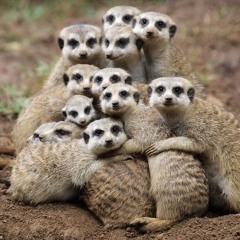 In Your Arms by Jessie Ryan-Allen