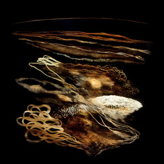 Conquest Of Paradise