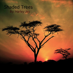 Shaded Trees