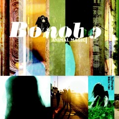 Bonobo - Terrapin (SaneBeats Remix)